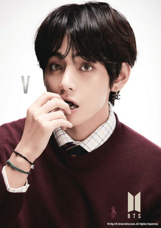 Jigsaw Puzzle BTS Bangtan Boys -V- (108 Pieces) | PlazaJapan