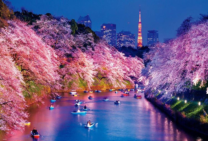 Beverly 51-275 Jigsaw Puzzle Cherry blossoms at night in Chidorigafuchi (Tokyo) (1000 Pieces)