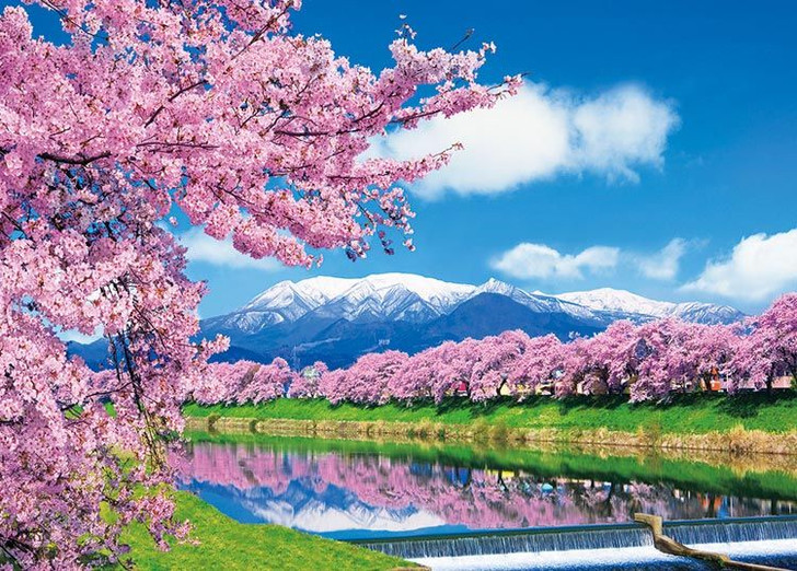 Beverly 66-156 Jigsaw Puzzle Ichimoku Senbon Sakura (Cherry blossoms in Miyagi, Japan) (600 Pieces)