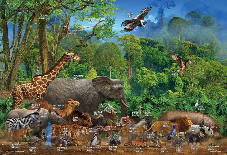 Beverly 100-025 Jigsaw Puzzle Compare Animal Size (100 L-Pieces)