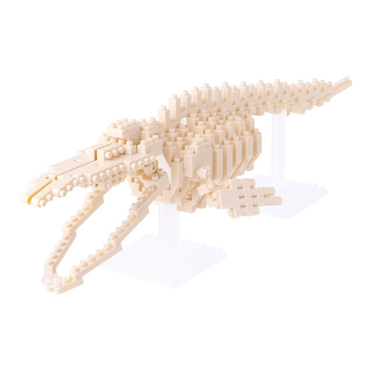 Kawada NBM-010 nanoblock Blue Whale Skeleton Model (4972825149782)