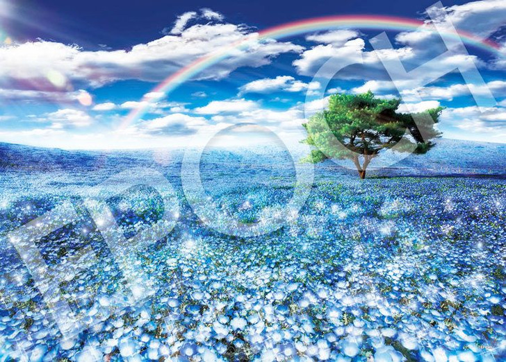 Epoch 05-201s Jigsaw Puzzle Baby Blue Eyes Flower Field (500 Pieces)
