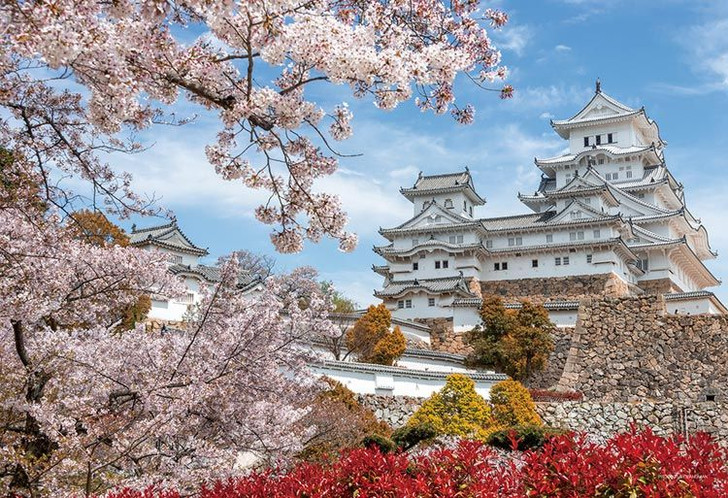 Yanoman 13-08 Jigsaw Puzzle Himeji Castle During Cherry Blossom Season in Hyogo Japan (1000 S-Pieces)