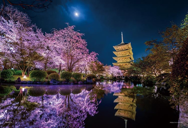 Yanoman 13-01 Jigsaw Puzzle Cherry Blossoms Blooming in the Moonlit Night (1000 S-Pieces)