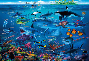 Beverly 100-029 Jigsaw Puzzle Let's Learn the Sea Animals in Japanese (100  L-Pieces)