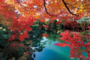 Jigsaw Puzzle Autumn in Yushien Shimane Japan (1000 Pieces)