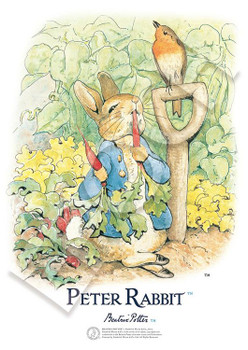 Beatrix Potter 限定版 4匹の小さなウサギたち Beatrix Potter 限定版 4匹の小さなウサギたち