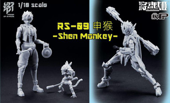 ミドルエイジ　shadow drake 1枚 MS GENERAL: Raider of Shadow - Shen Monkey 1/10 Plastic
