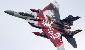 platz-172-japan-air-self-