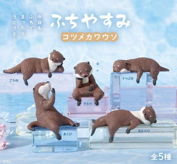 Fuchiyasumi Small-clawed Otter (10 pack box)