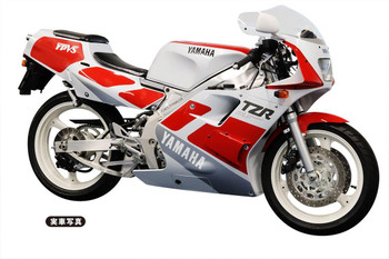 数量は多い  hasegawa-112-yamaha-tzr250-3ma パーツ