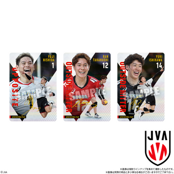 超激レア！ニルヴァーナ DJプロモ 180g重量盤 EU盤 12インチシングル Japan Mens National Volleyball Team Twin Wafers 2025 Card