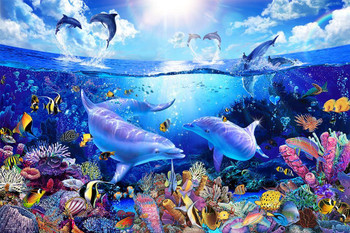 Jigsaw Puzzle - Lassen Day Of The Dolphins Replacement (1000 Pieces)