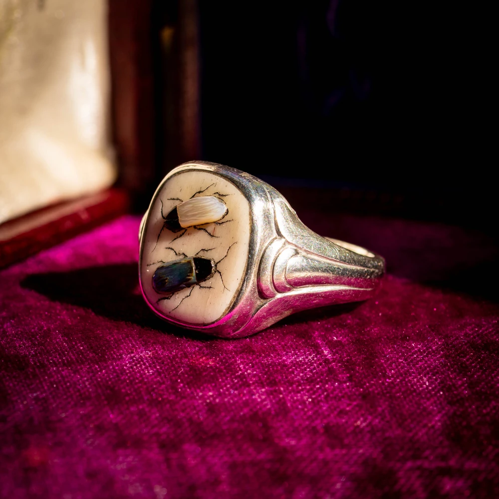 Vintage Shibayama Insect Ring, Silver Signet Style Bug Ring.