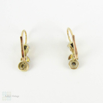 Art Nouveau Diamond Earrings, Floral Design Dangle Earrings with Bezel Set Diamonds. Circa 1910s, 18ct & Platinum.