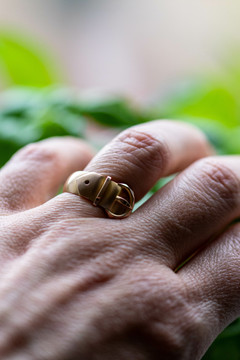 Victorian Buckle Ring, Wide 9ct 9k Yellow & Rose Gold Buckle Band Circa 1880s.