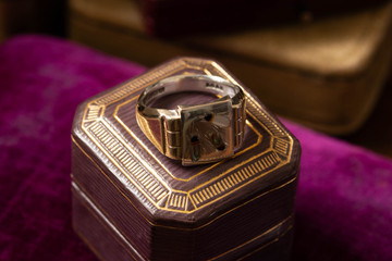 Antique Shibayama Insect Ring, 9ct Gold & Silver. Signet Style Two Tone Ring.