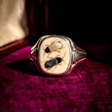 Vintage Shibayama Insect Ring, Silver Signet Style Bug Ring.