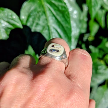 Vintage Shibayama Insect Ring, Silver Signet Style Bug Ring.