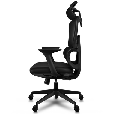 Ergonomic Office Chair with Lumbar Support, Adjustable Executive Desk  Armchair with Tall Back Mesh & Headrest - 2xhome - Modern and Contemporary  Furniture