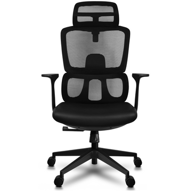 Ergonomic Office Chair with Lumbar Support, Adjustable Executive Desk  Armchair with Tall Back Mesh & Headrest - 2xhome - Modern and Contemporary  Furniture