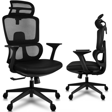 Ergonomic Office Chair with Lumbar Support, Adjustable Executive Desk  Armchair with Tall Back Mesh & Headrest - 2xhome - Modern and Contemporary  Furniture