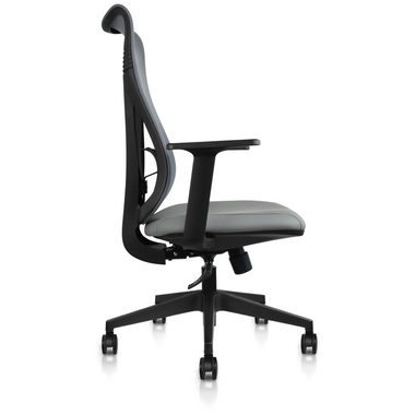 Ergonomic Office Chair with Lumbar Support, Adjustable Executive Desk  Armchair with Tall Back Mesh & Headrest - 2xhome - Modern and Contemporary  Furniture