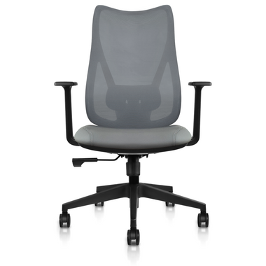 Ergonomic Office Chair with Lumbar Support, Adjustable Executive Desk  Armchair with Tall Back Mesh & Headrest - 2xhome - Modern and Contemporary  Furniture