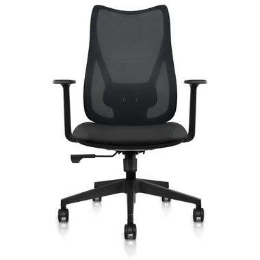 Ergonomic Office Chair with Lumbar Support, Adjustable Executive Desk  Armchair with Tall Back Mesh & Headrest - 2xhome - Modern and Contemporary  Furniture