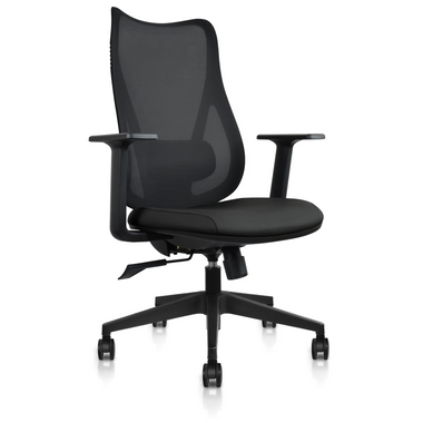 Ergonomic Office Chair with Lumbar Support, Adjustable Executive Desk  Armchair with Tall Back Mesh & Headrest - 2xhome - Modern and Contemporary  Furniture