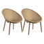 Set of 2 Copy of Mid-Century Modern Plastic Lounge Chair Plastic Legs with Breathable Perforated Egg Shaped Seat for Indoor/Outdoor Use