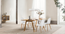 Set Of 6 Armless Plastic Dining Chair Natural Wood Legs
