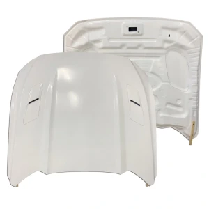 FRP GT Hood > Ford Mustang 2015-2017 - image 1