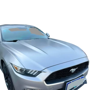 FRP OER Hood > Ford Mustang 2015-2017 - image 1