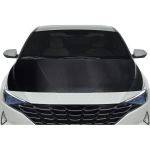 2021-2023 Hyundai Elantra OEM Look Carbon Fiber Hood - image 1