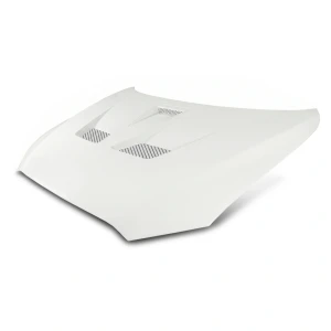2008-2017 Mitsubishi Lancer Evo X Look Hood - image 1