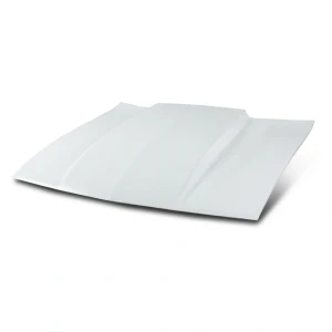 2008-2023 Dodge Challenger Cowl Hood - image 1