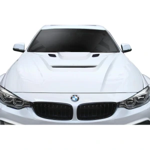2012-2018 BMW 3 Series AF-1 Hood - image 1