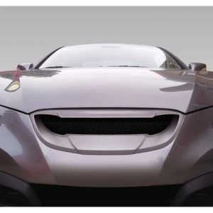 2010-2012 Hyundai Genesis RS-1 Grille - image 1