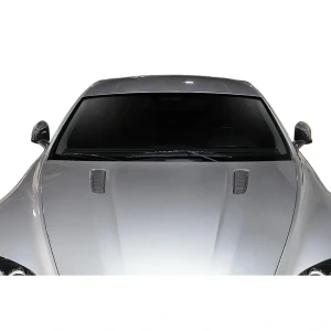 2006-2017 Aston Martin Vantage AF-1 Carbon Fiber Accessory - image 1