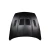 2009-2020 Nissan 370Z Z34 GT1 Hood - 1 Piece - image 6