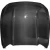 Carbon Fiber OER Hood > Ford Mustang 2015-2017 - image 1