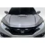 2016-2021 Honda Civic Type R Look Hood - image 1