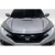 2016-2021 Honda Civic Type R Look Hood - image 1