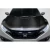 2016-2021 Honda Civic Type R Look Carbon Fiber Hood - image 1