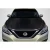 2017-2019 Nissan Sentra OEM Look Hood - 1 Piece - image 1