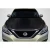 2017-2019 Nissan Sentra OEM Look Carbon Fiber Hood - image 1