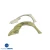 FRP HOM Wide Body Fenders (front) > Ferrari F430 2005-2009 - image 10