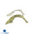 FRP HOM Wide Body Fenders (front) > Ferrari F430 2005-2009 - image 10