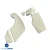 FRP HOM Wide Body Fenders (rear) > Ferrari F430 2005-2009 - image 11